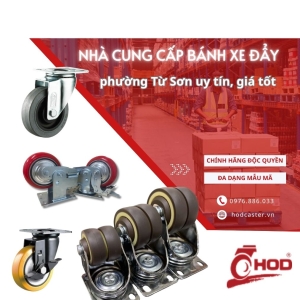 banh-xe-day-phuong-tu-son