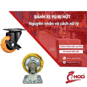 banh-xe-pu-bi-nut