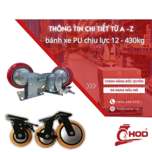 banh-xe-pu-chiu-luc