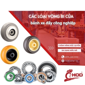 vong-bi-banh-xe-day-cong-nghiep
