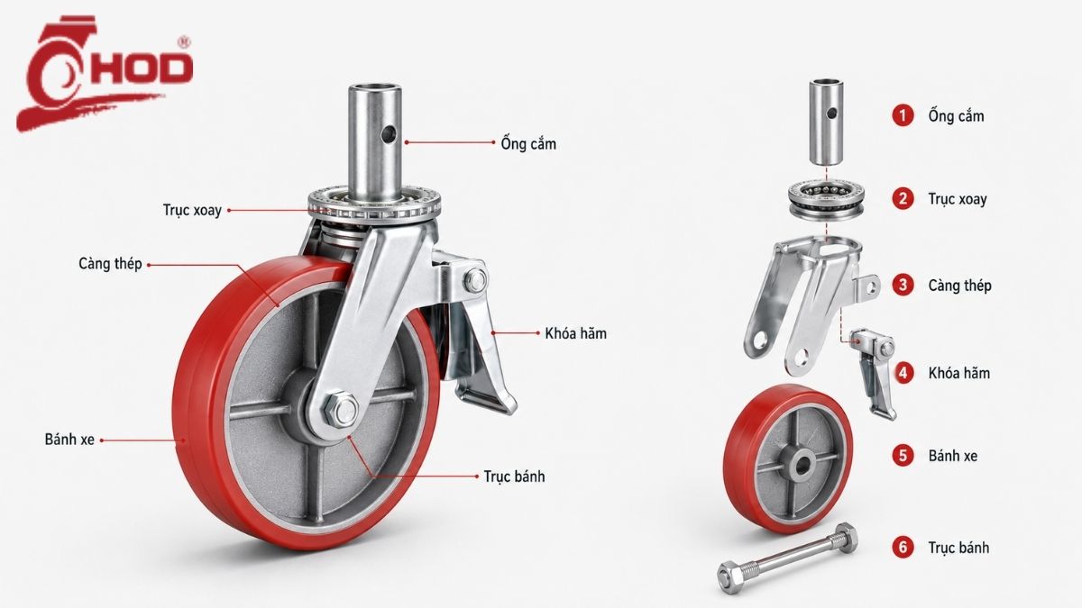 So sánh càng xoay càng cố định mặt đế và trục ren
