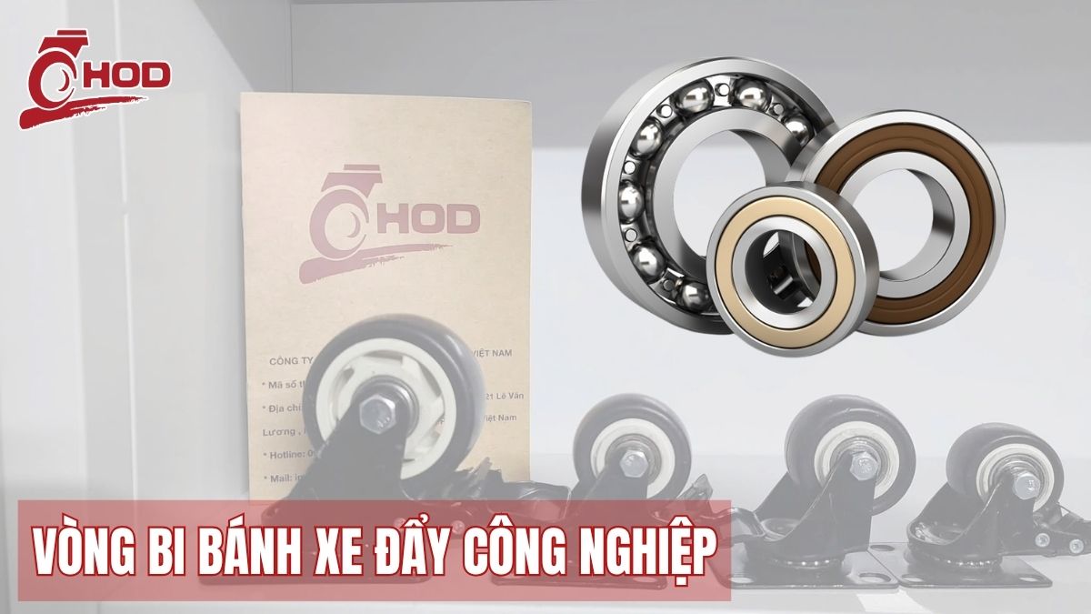 Vị trí vòng bi bên trong bánh xe đẩy công nghiệp